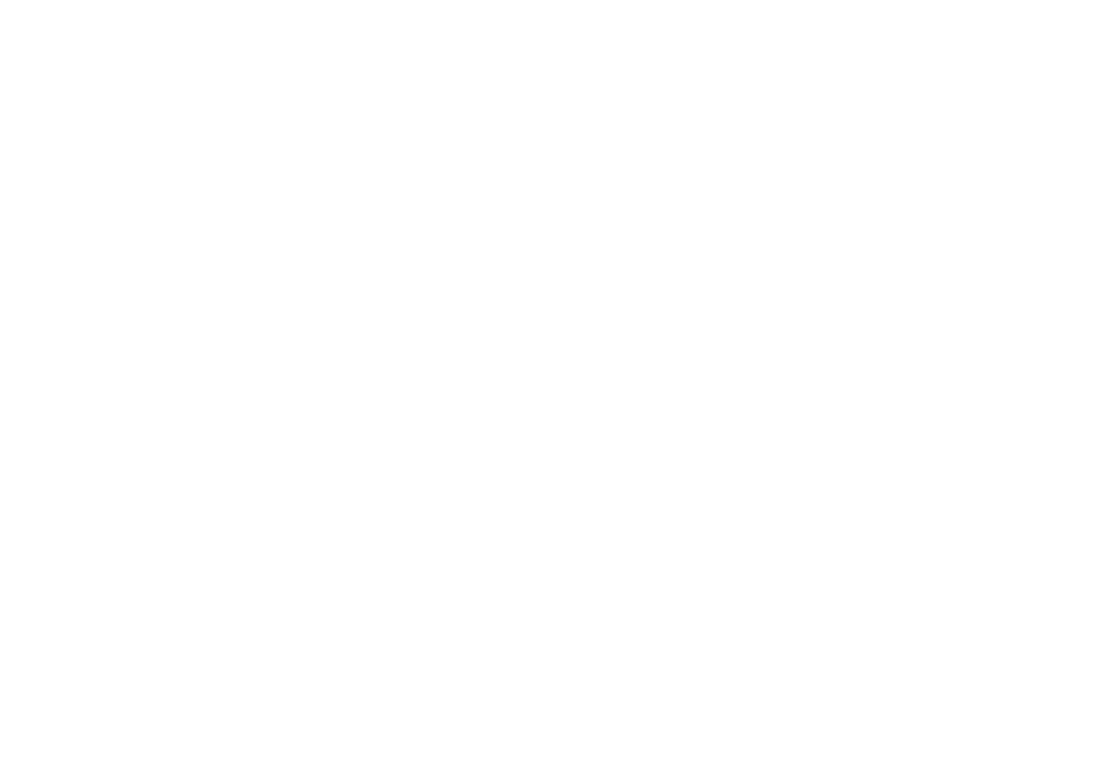 Consultation with Client