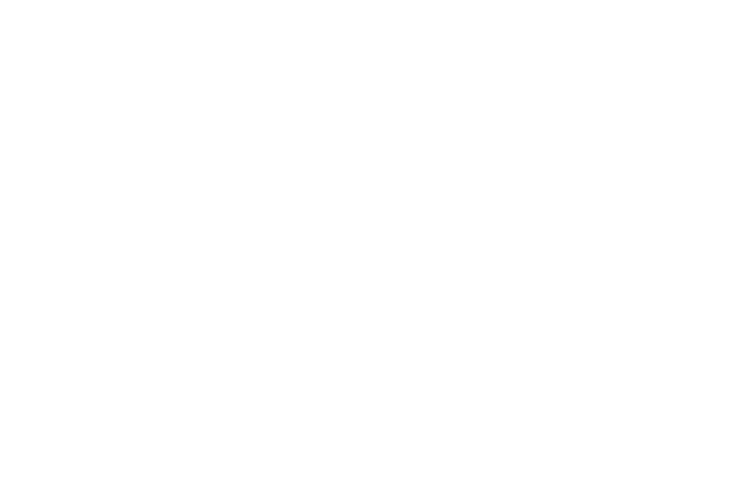 Pre-Test Interview